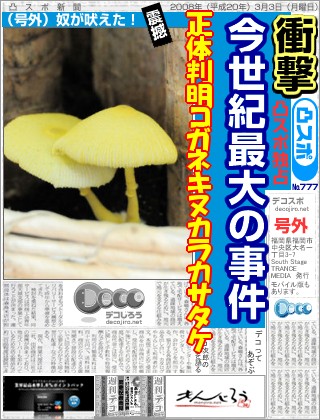キノコの正体判明!!!