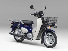 スーパーカブ2022年モデルが気になる管理人 スーパーカブ2022年モデルが気になる管理人