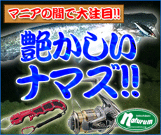 トップゲームが面白いナマズゲーム!梅雨は好機 トップゲームが面白いナマズゲーム!梅雨は好機