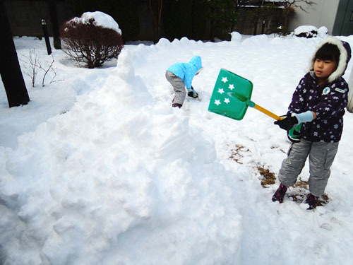 マイホーム雪中