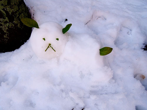 マイホーム雪中