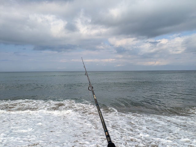 今年初釣り 今年初釣り