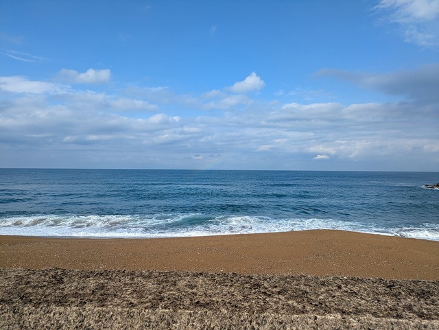 今年初釣り 今年初釣り