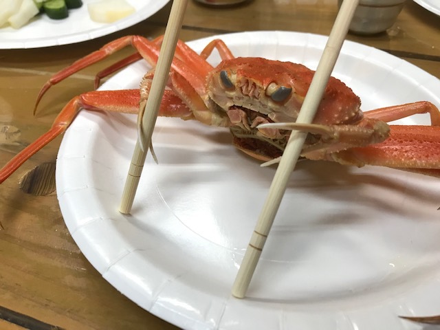 茹でたてセイコガニ釣友忘年会♪ 茹でたてセイコガニ釣友忘年会♪