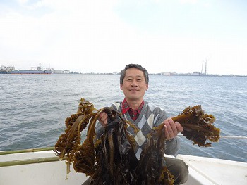 天然ワカメ 天然ワカメ
