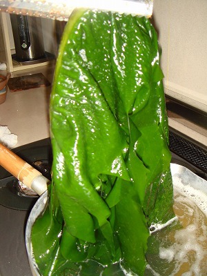 天然ワカメ 天然ワカメ