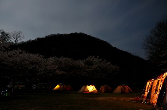 春。 春。