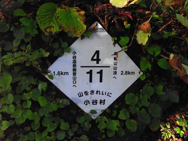 2009/10/03-04 雨飾山 (紅葉観賞)