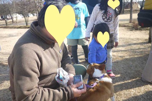 2015どんと焼き+キャンプ!! in出会いの森 2015-1-10 2015どんと焼き+キャンプ!! in出会いの森 2015-1-10