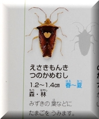 幸せの黄色い…