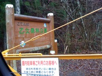 乙女森林公園第2キャンプ場①