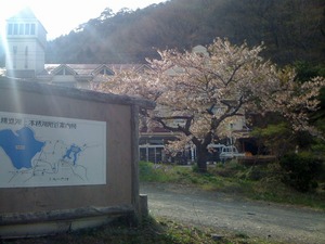 今年初富士五湖バス&焚き火?