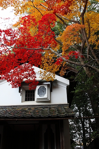 詩仙堂の紅葉　ふらり京都へ