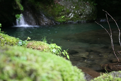 支流の滝壺2