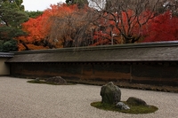 龍安寺の紅葉　ふらり京都へ