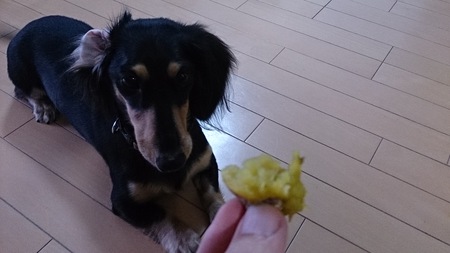 ダッチオーブン料理!~焼いも編