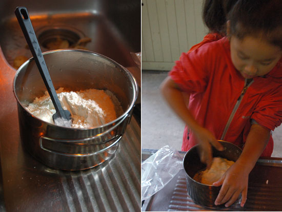 自家製トマトとバジルを使ってダッチオーブンでピザ作りに挑戦!
