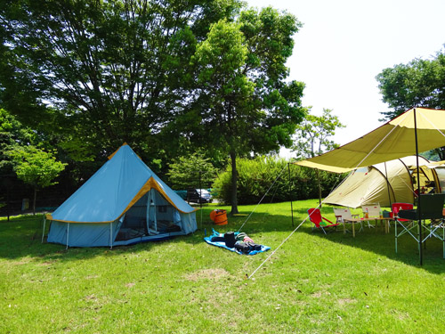 6月8~9日 出会いの森