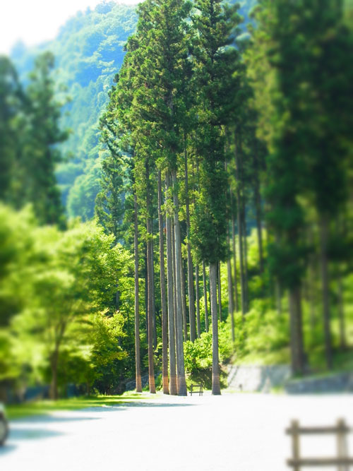 奥秩父 WoodRoof 最終日^^