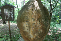 花フェスタ記念公園 1