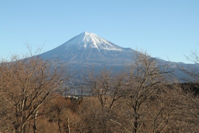 富士山と梅