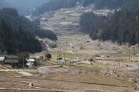 四谷の千枚田