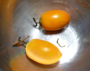 秋の味覚
