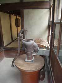 彼岸花 3