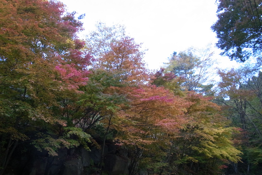 池手前のスロープ