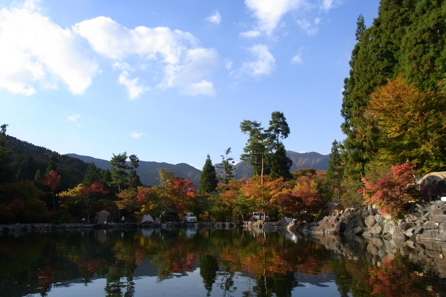 池の風景