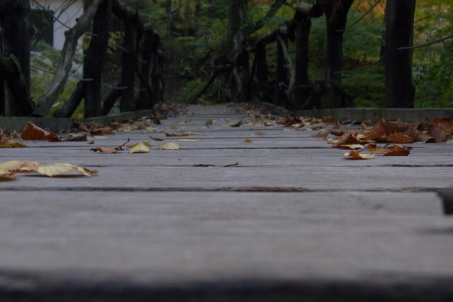 管理棟前の橋
