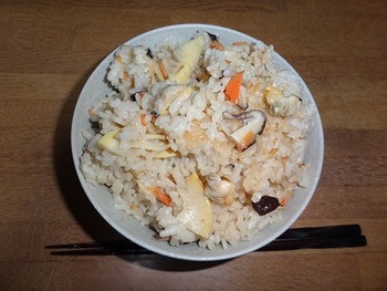 ツツジが綺麗に咲いています