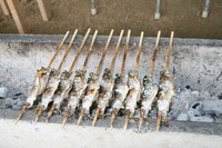 花見養魚センター・釣り堀いしだ