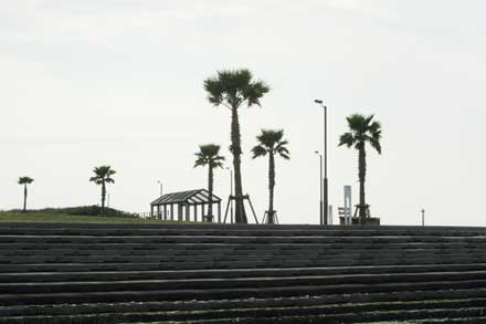 ■銚子マリーナ海浜緑地公園
