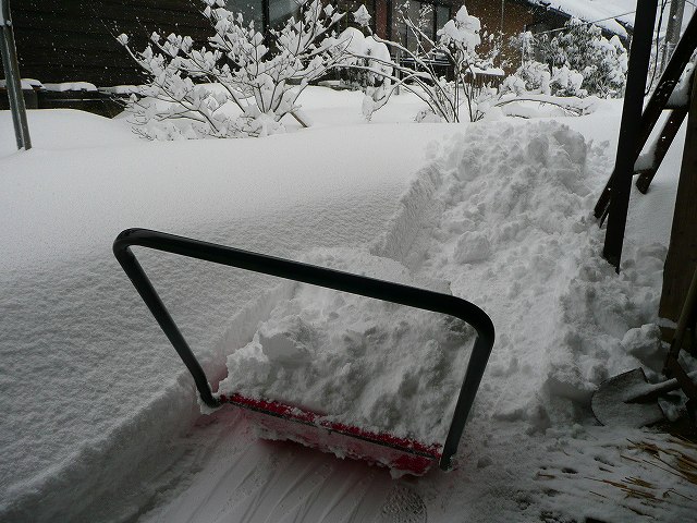雪が激降りです