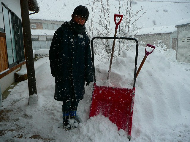 雪が激降りです