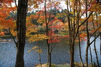 段戸湖 ~hito編~