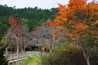 段戸湖 ~hito編~