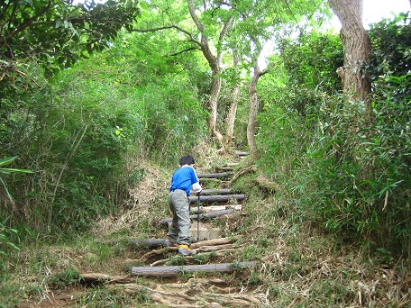 子どもと歩く六甲全山縦走3(鵯越~摩耶山)