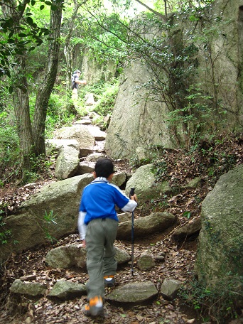 子どもと歩く六甲全山縦走3(鵯越~摩耶山)