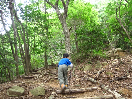 子どもと歩く六甲全山縦走3(鵯越~摩耶山)