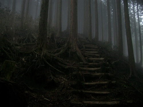 丹沢 山歩き 烏尾山 行者ヶ岳 周回