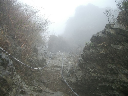 丹沢 山歩き 烏尾山 行者ヶ岳 周回
