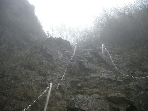 丹沢 山歩き 烏尾山 行者ヶ岳 周回