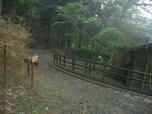 丹沢 山歩き 烏尾山 行者ヶ岳 周回