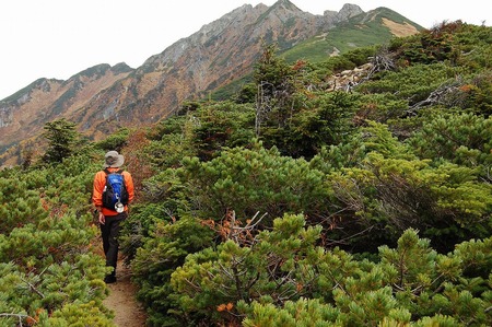 初登山・西穂独標 到達完結編