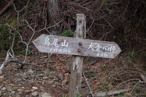 丹沢 山歩き 烏尾山 行者ヶ岳 周回
