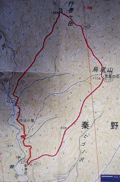 丹沢 山歩き 烏尾山 行者ヶ岳 周回