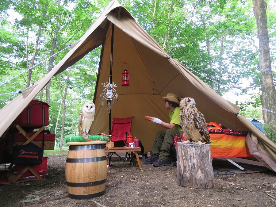 幸福 camp 幸福 camp