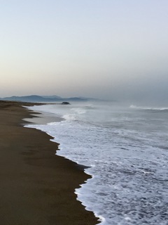 今日の浜散歩